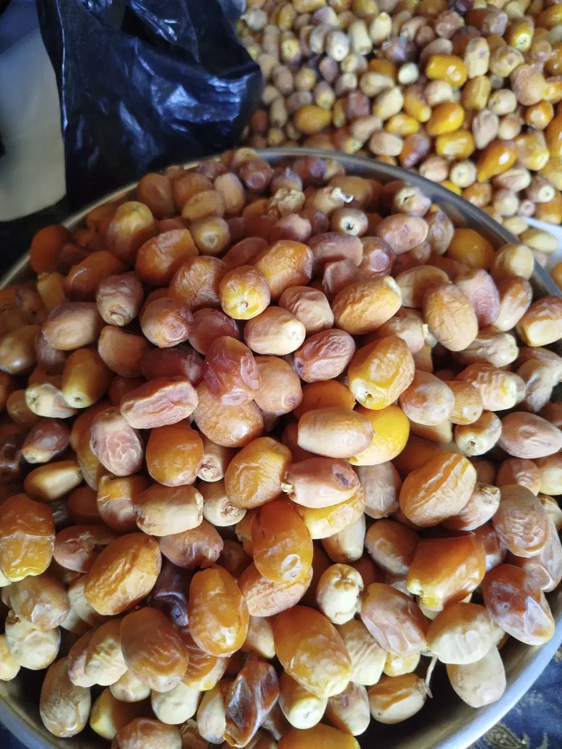 قصب سفید تازه|حراج|خفر, |دیوار