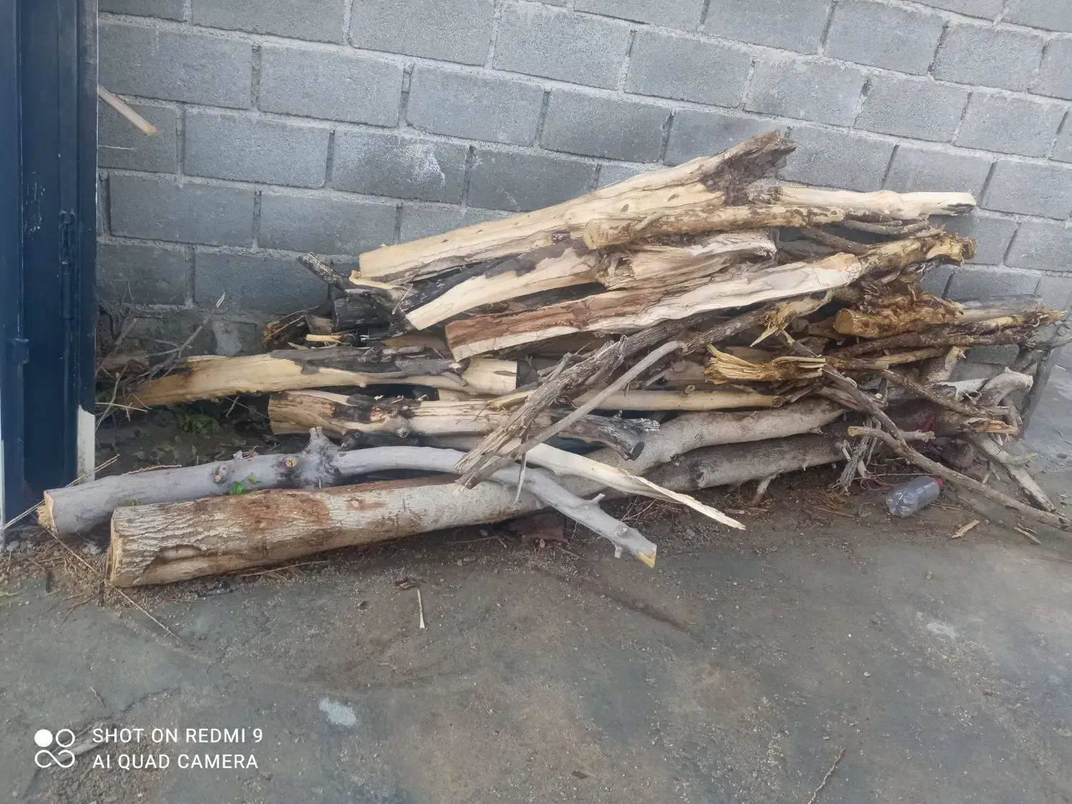 فروش چوب درخت|مصالح و تجهیزات ساختمان|جهرم, |دیوار