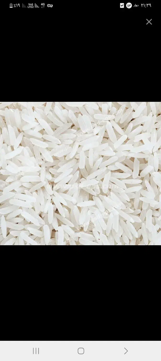 برنج هاشمی|خوردنی و آشامیدنی|لیسار, |دیوار