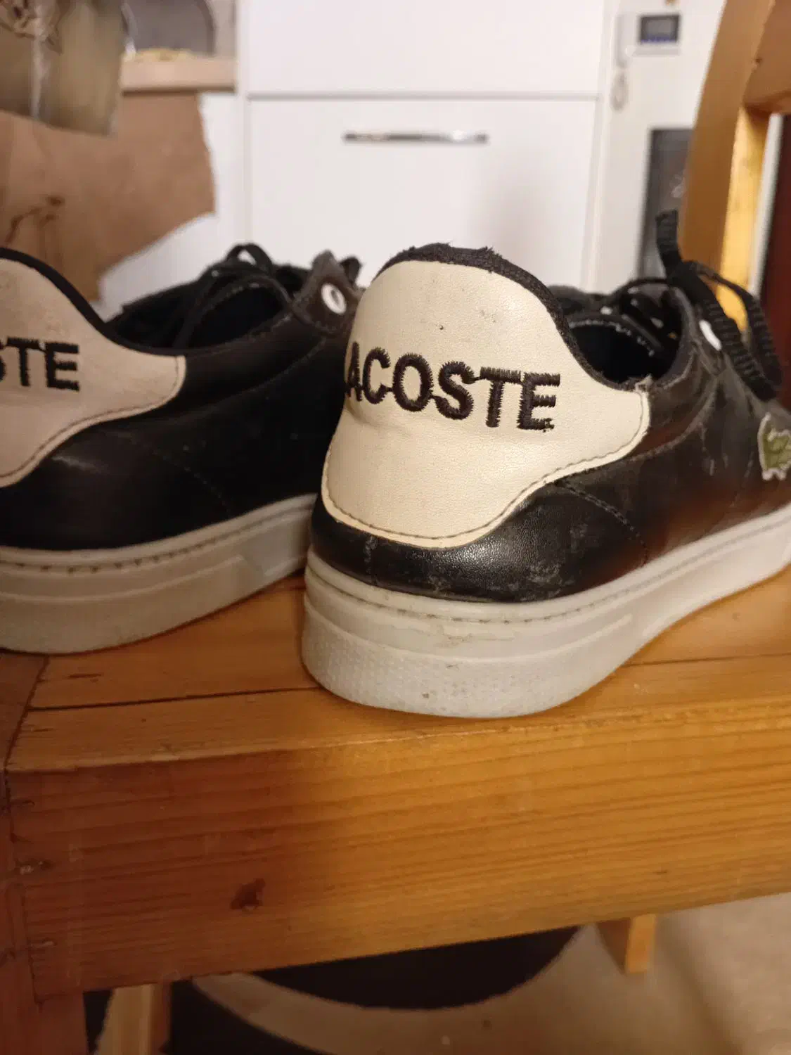 کفش|کیف، کفش، کمربند|بوشهر, |دیوار