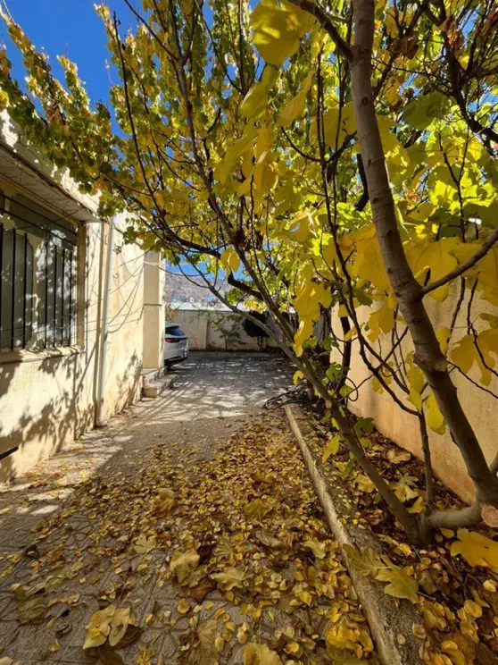 فروش خانه ویلایی/خیابان جمهوری|فروش خانه و ویلا|یاسوج, |دیوار