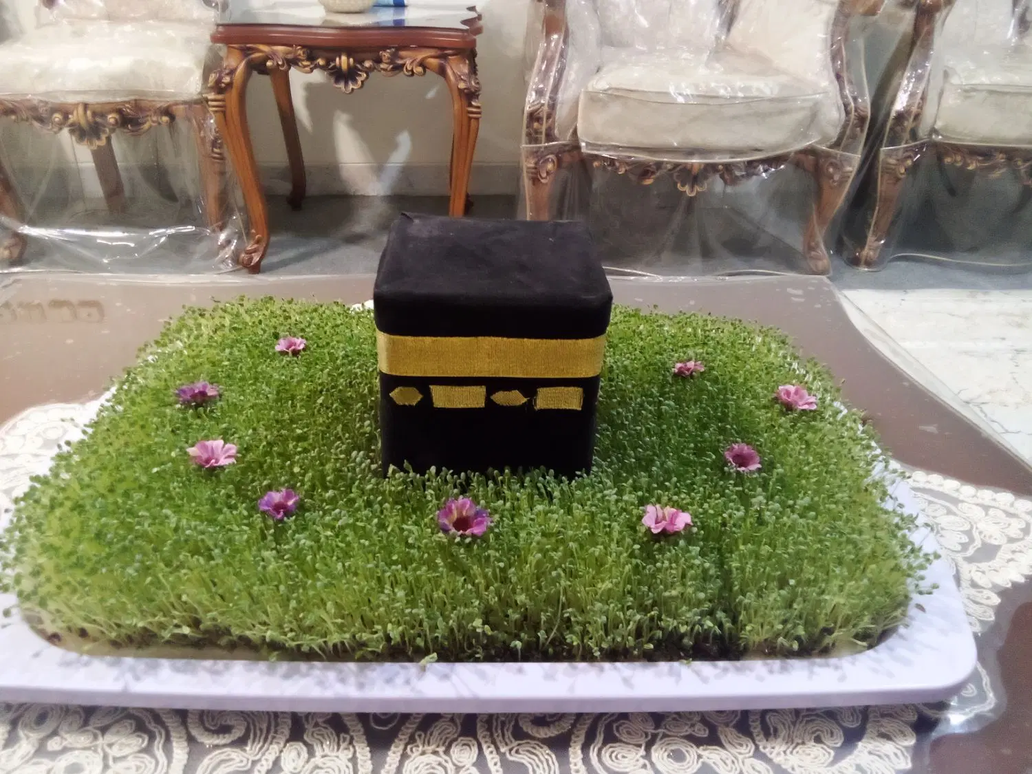 سبزه|گل و گیاه طبیعی|همدان, |دیوار