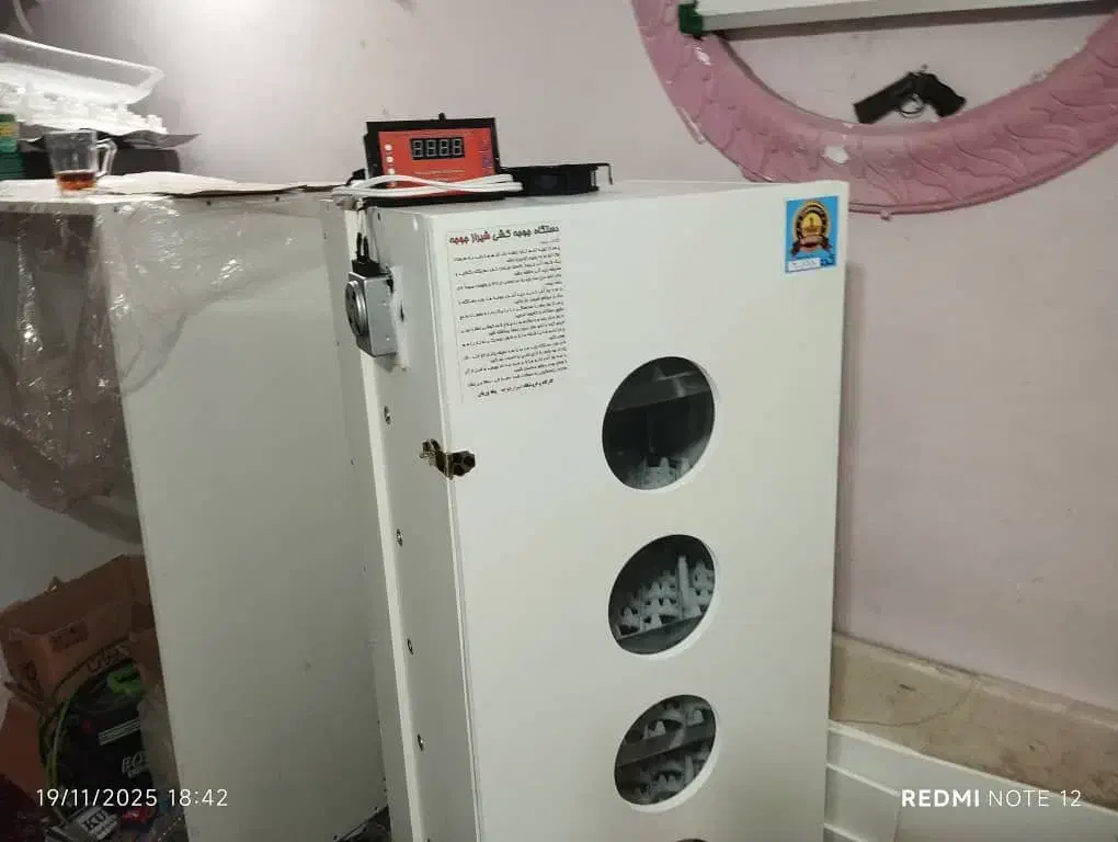 تولید دستگاه جوجه کشی از شیراز/انتخاب پرنده دار|لوازم جانبی حیوانات|قم, صفائیه|دیوار