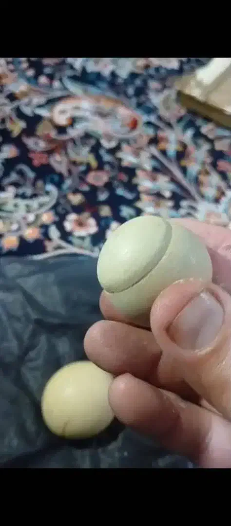 سنگهای ارزشمند|جواهرات|بلده, |دیوار