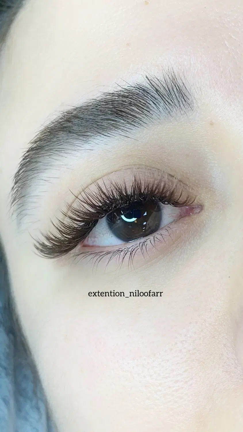 اموزش اکستنشن مژه ،لیفت لمینت همراه مدرک|خدمات آموزشی|شیراز, طلاب|دیوار