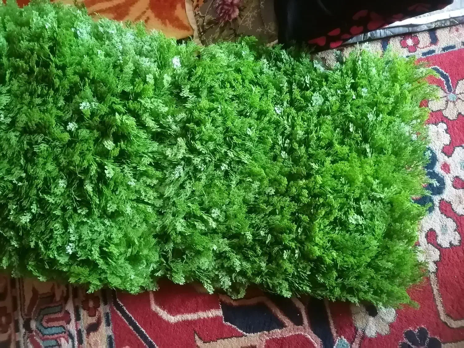 چمن سبز مصنوعی|گل مصنوعی|شیراز, ریشمک|دیوار