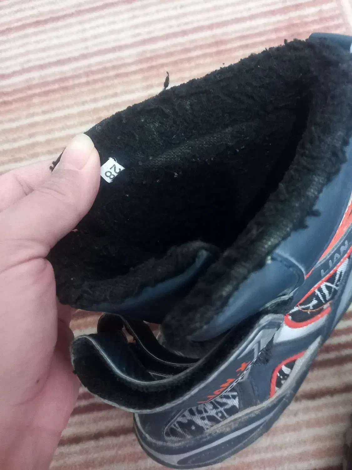 همگی درحدنو هستن|کیف، کفش، کمربند|بجنورد, |دیوار