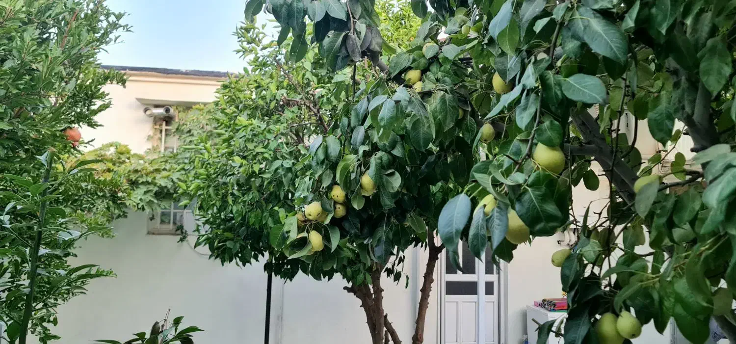 منزل ویلایی بزرگ سرابله|فروش خانه و ویلا|چرداول, |دیوار