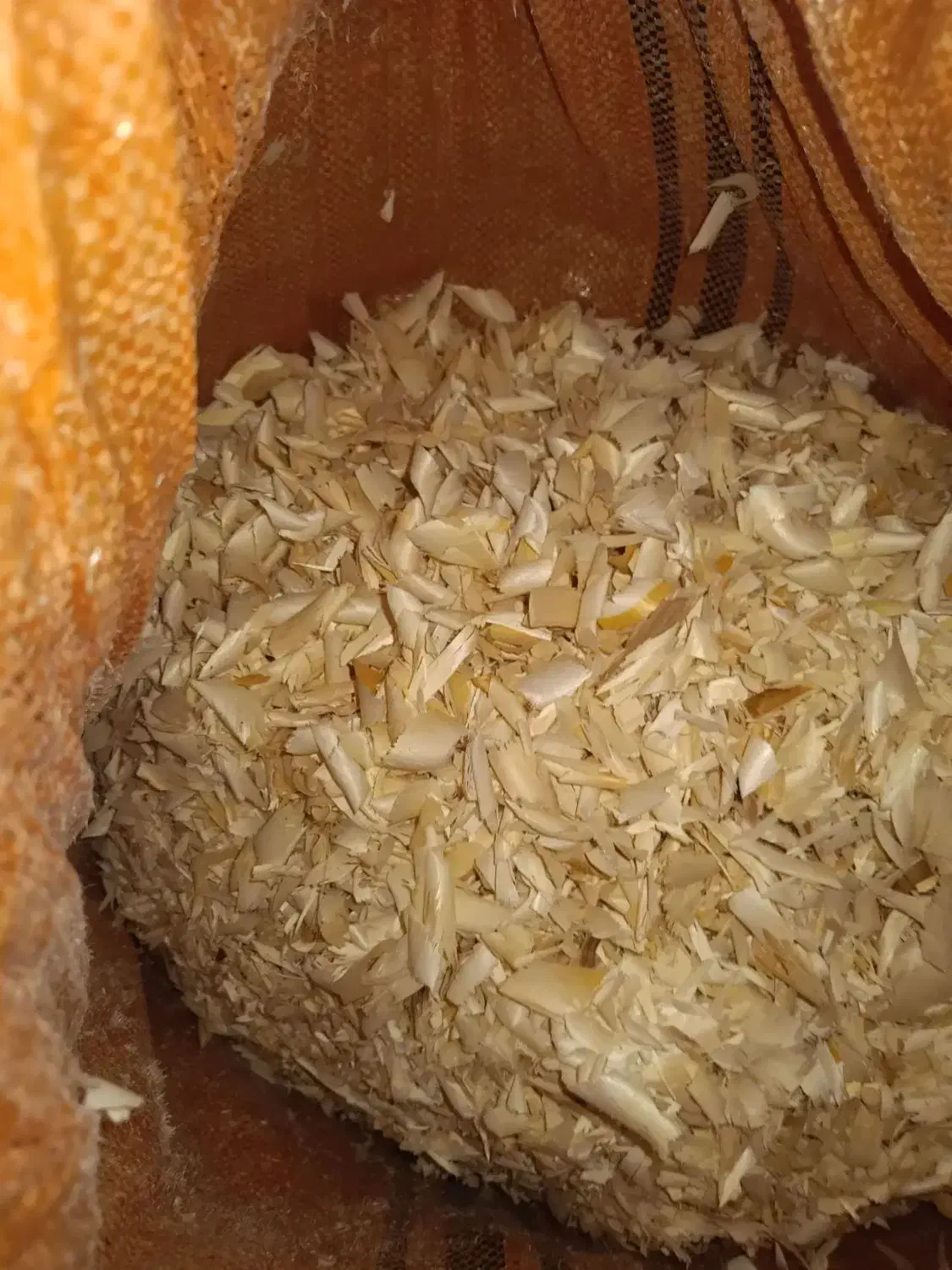 پوشال|عمده‌فروشی|قائن, |دیوار