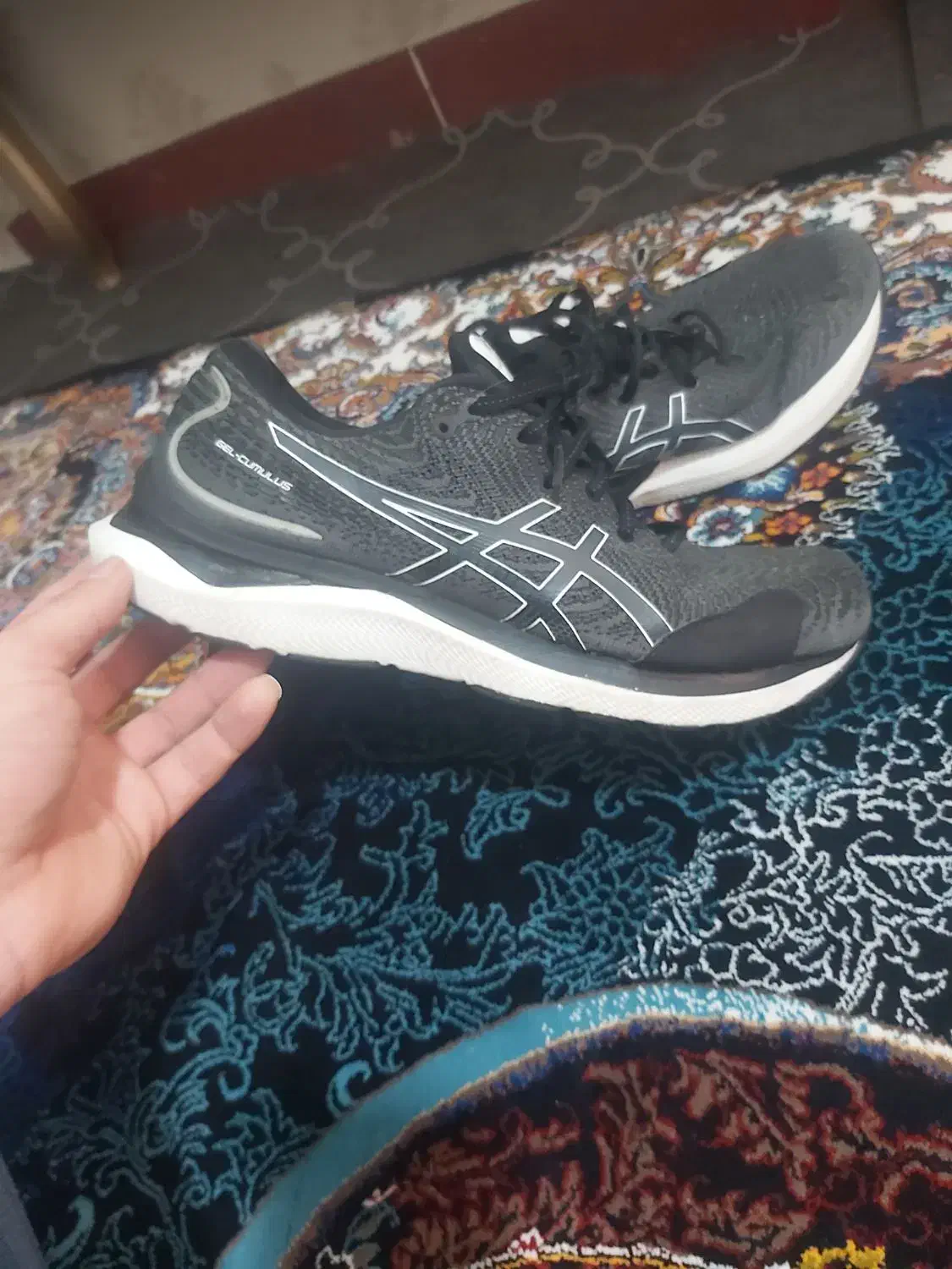 کتانی خارجی|کیف، کفش، کمربند|اردبیل, |دیوار