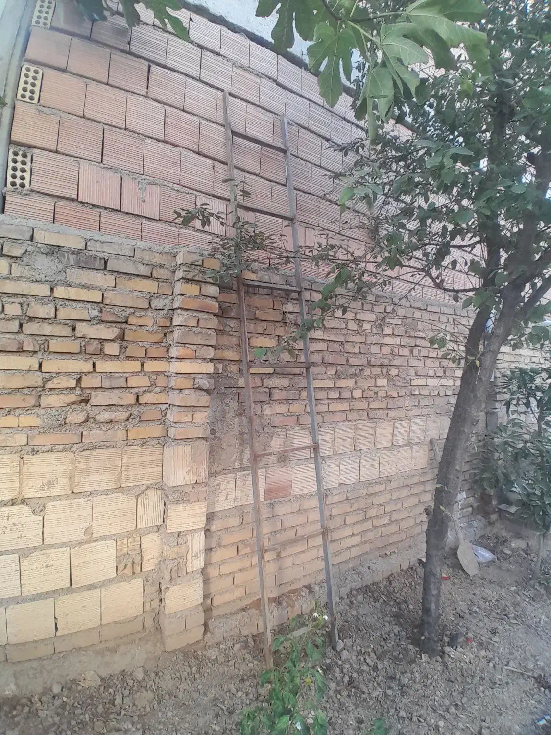 نردبان آهنی  3 متر 20 سانتی‌ متری|ابزارآلات|گنبد کاووس, |دیوار