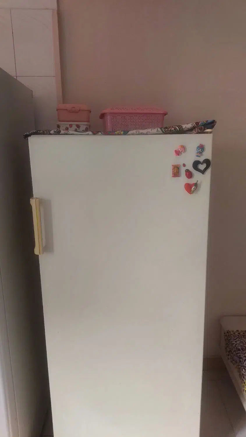 یخچال تمیز  بدون زن زدگی|یخچال و فریزر|رشت, حمیدیان|دیوار