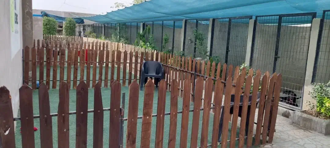 پانسیون سگ|خدمات پیشه و مهارت|تهران, فدک|دیوار