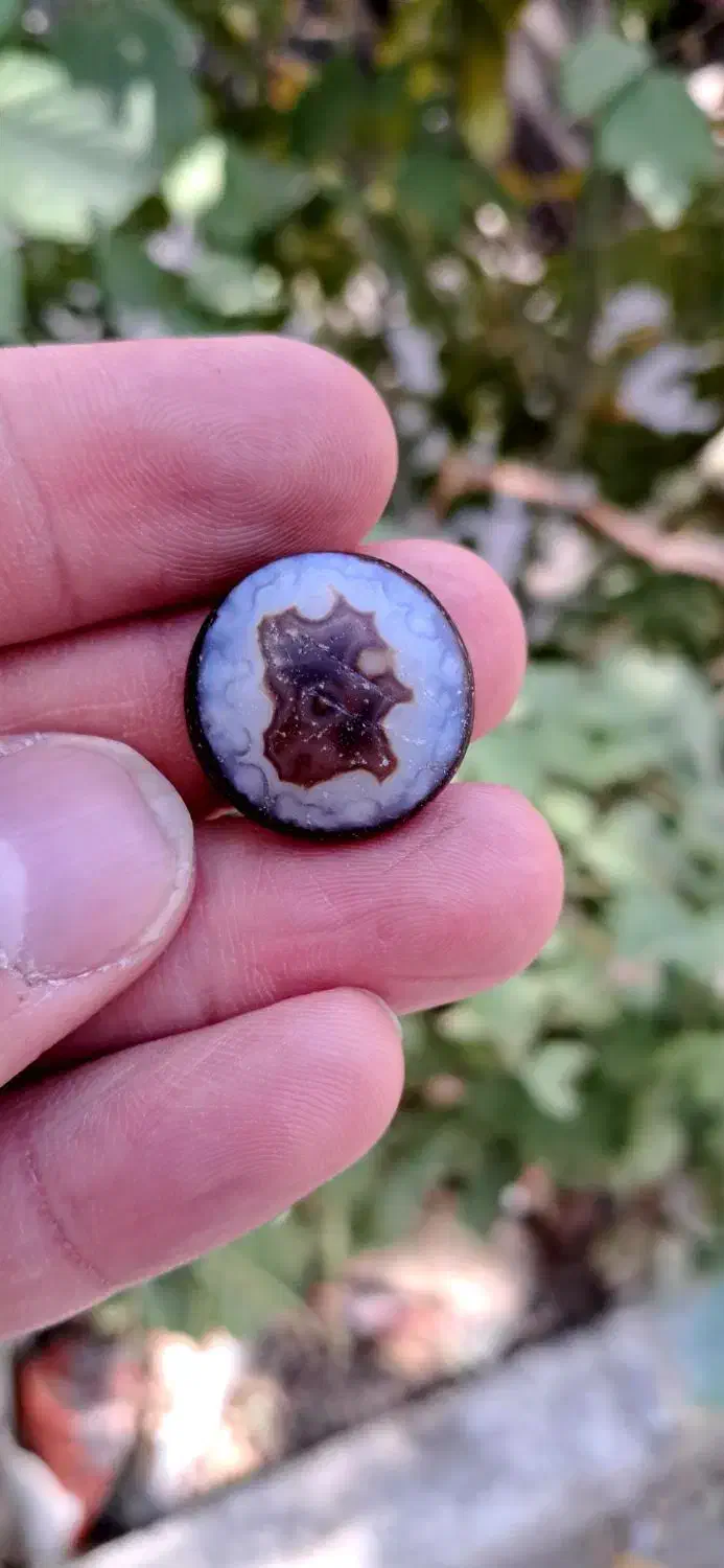 سه پوست   مصور   مراکش|بدلیجات|اهواز, دانشگاه چمران|دیوار