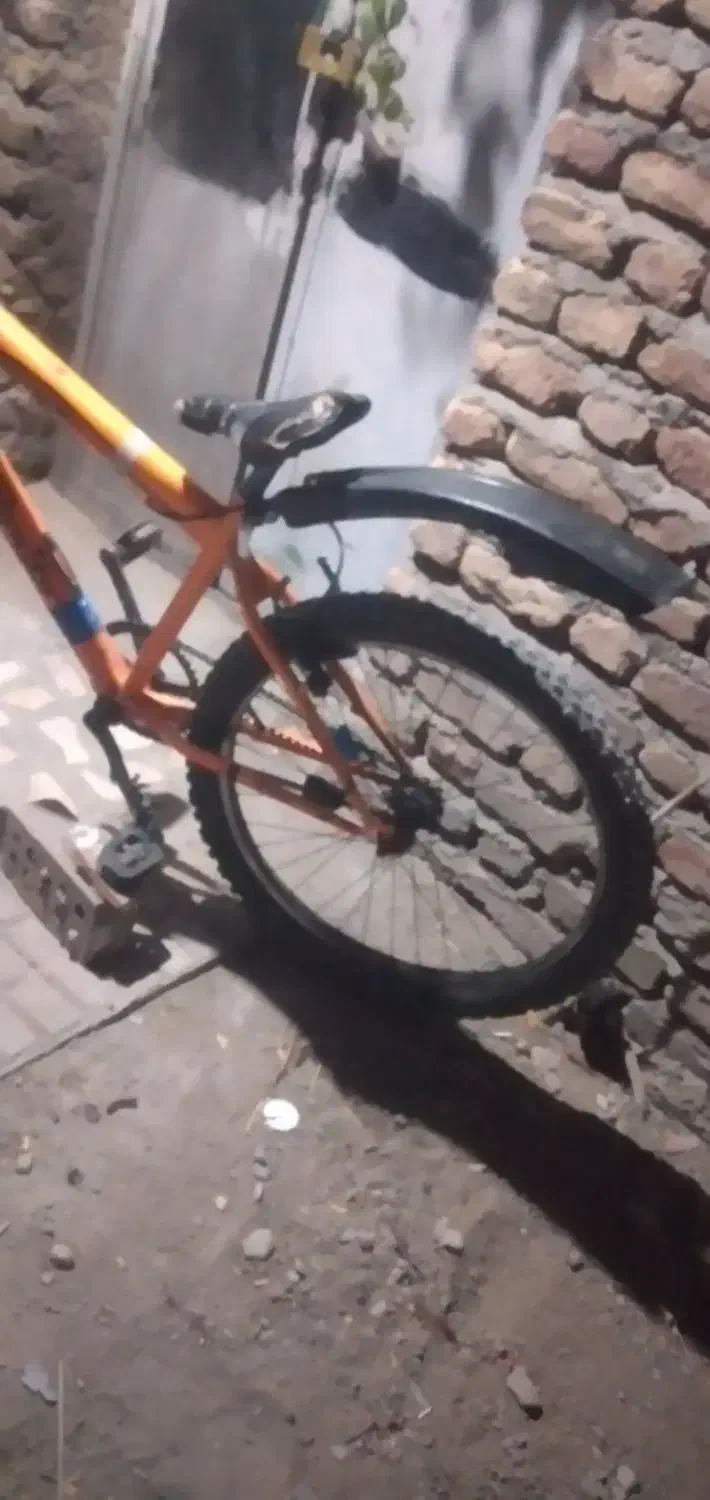 دوچرخه ۲۶|دوچرخه، اسکیت، اسکوتر|جبالبارز, |دیوار