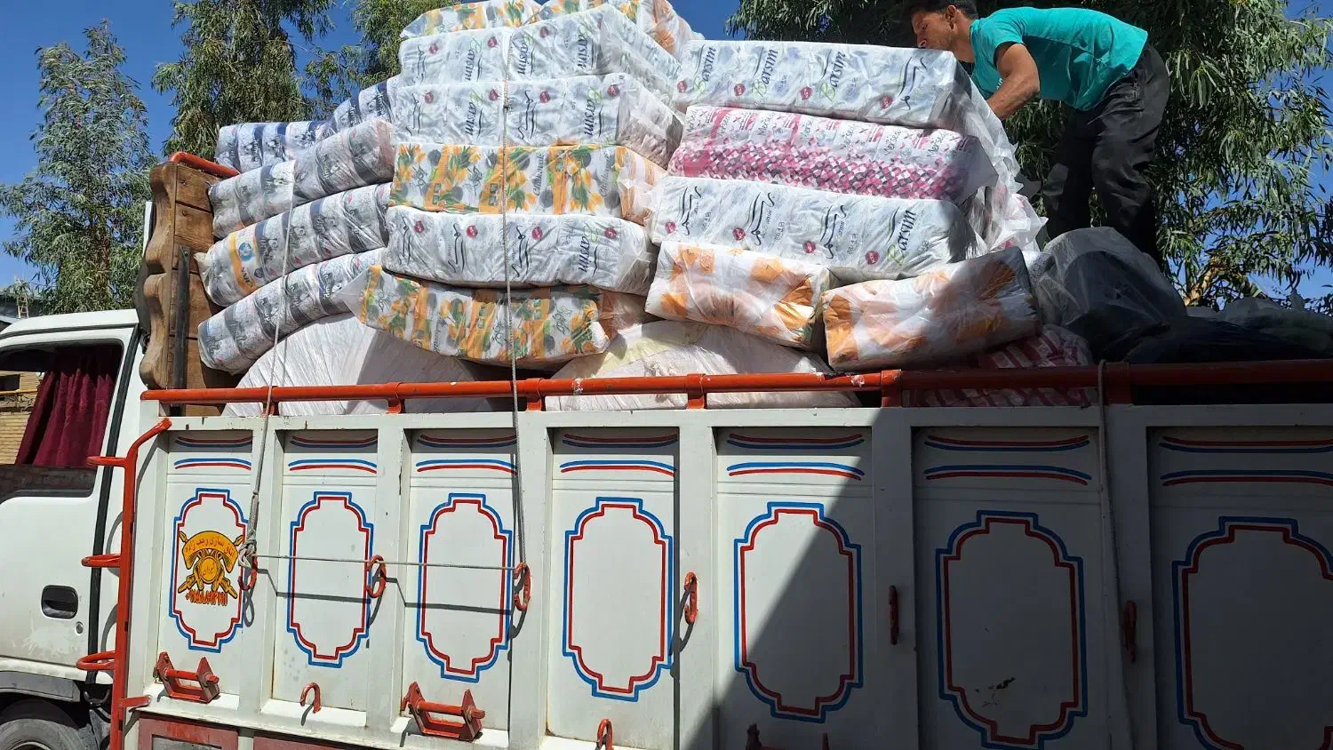 دستمال کاغذی جعبه‌ای|مواد شوینده و دستمال کاغذی|شیروان (خراسان), |دیوار