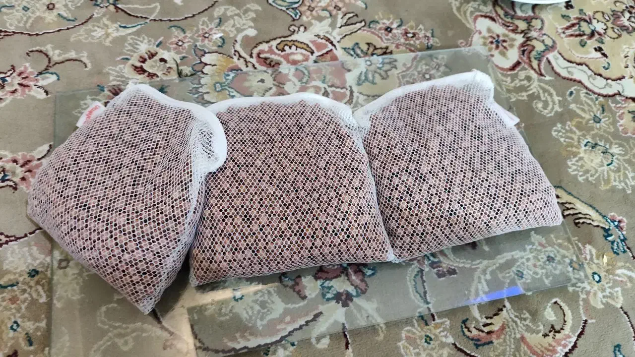 اکواریوم سوپر حرفه ای ریملس|ماهی|مشهد, طلاب|دیوار