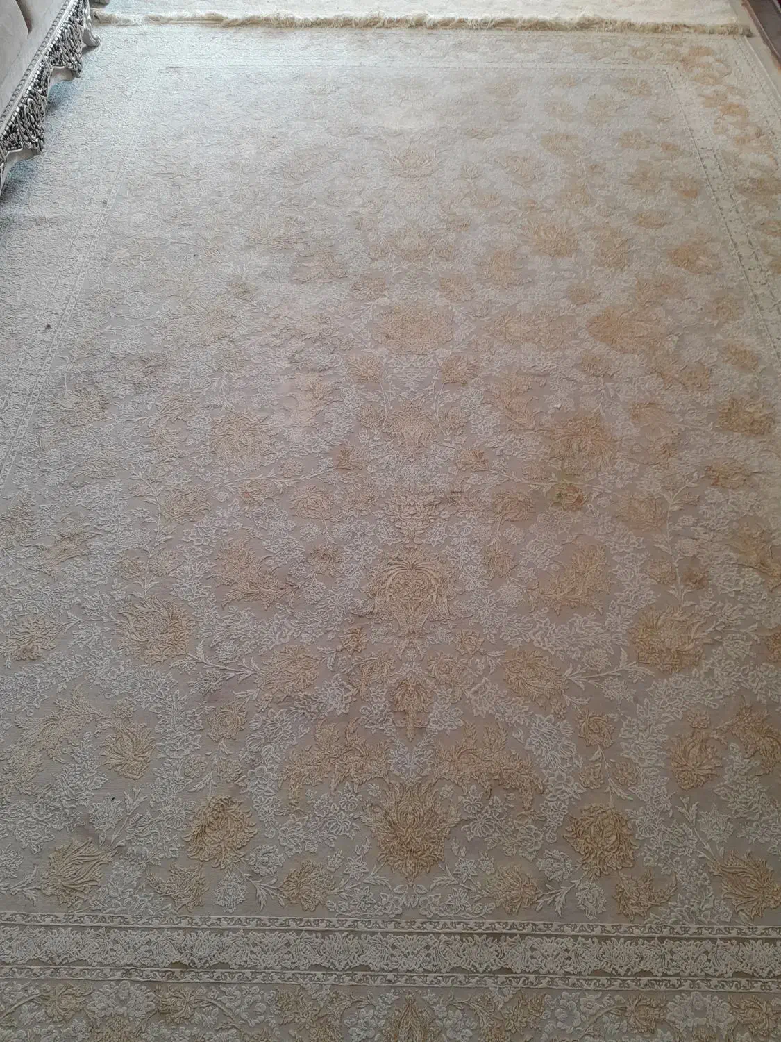 قالی|فرش|زرند, |دیوار