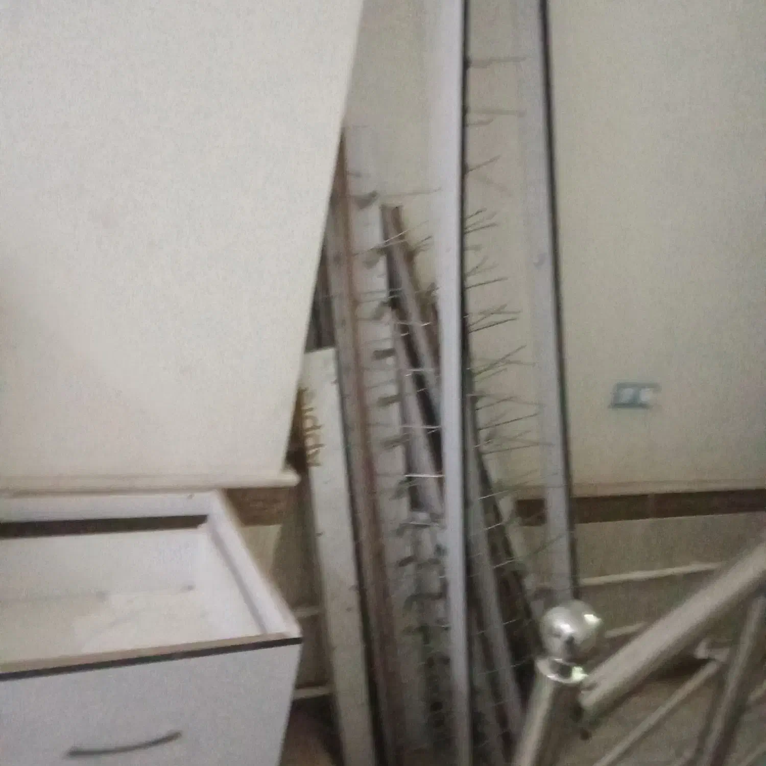 دکوراسیون|فروشگاه و مغازه|سلماس, |دیوار