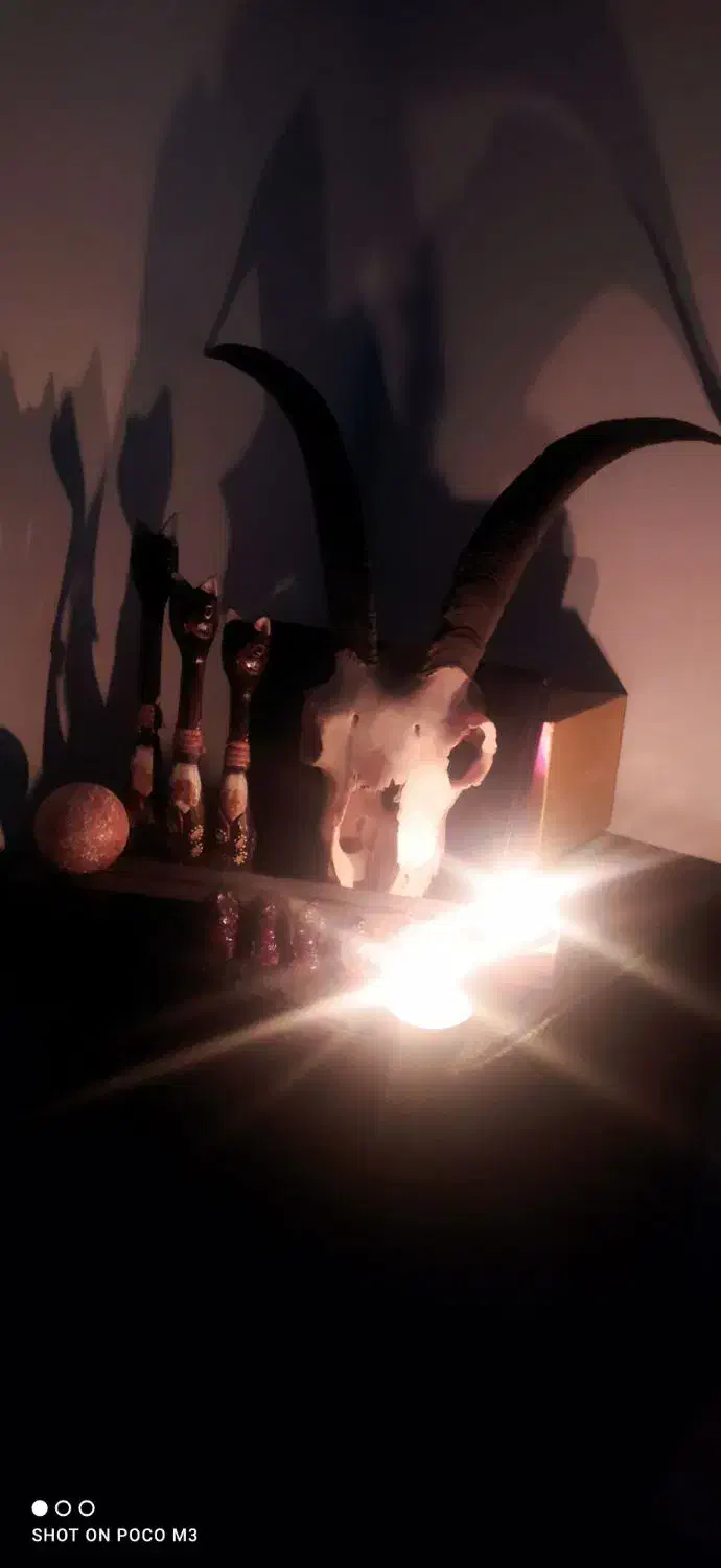 تزئینی دکوری|مجسمه، تندیس، ماکت|کرج, شاهینویلا|دیوار