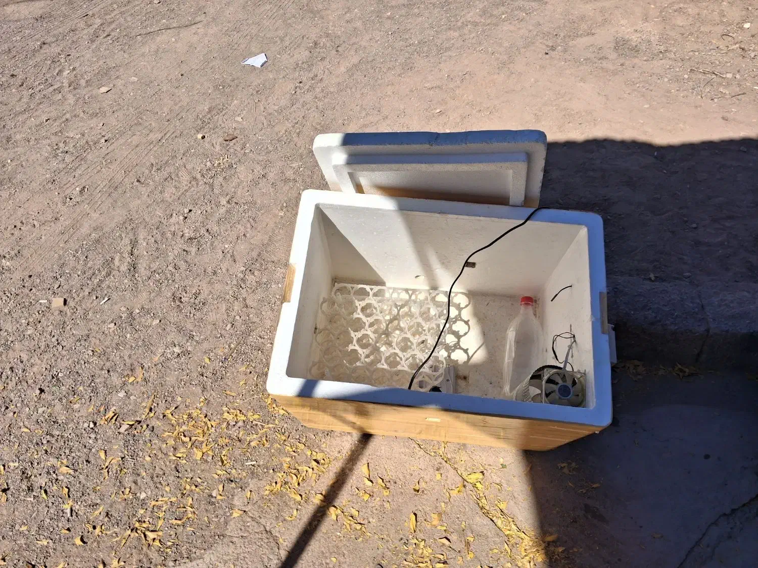 دستگاه جوجه کشی|لوازم جانبی حیوانات|کرمان, |دیوار