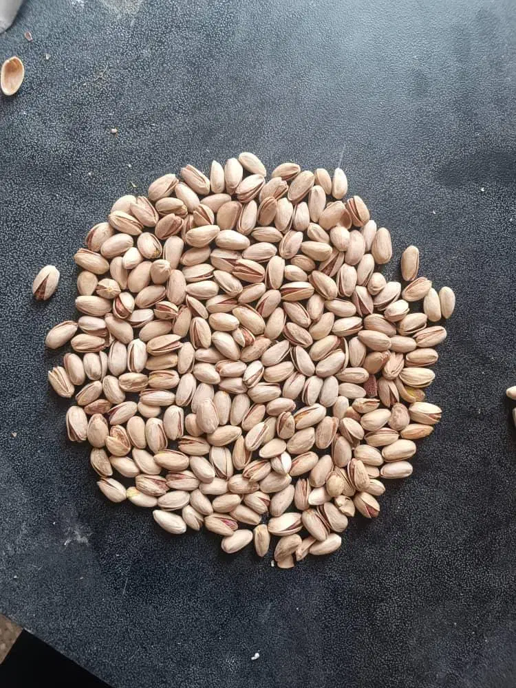 باغ پسته ای با اب|فروش دفتر صنعتی، کشاورزی، تجاری|زرند, |دیوار