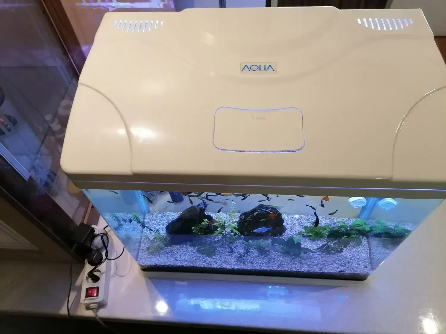 آکواریوم 120 لیتری با ماهی و گیاه طبیعی|ماهی|تهران, پونک|دیوار