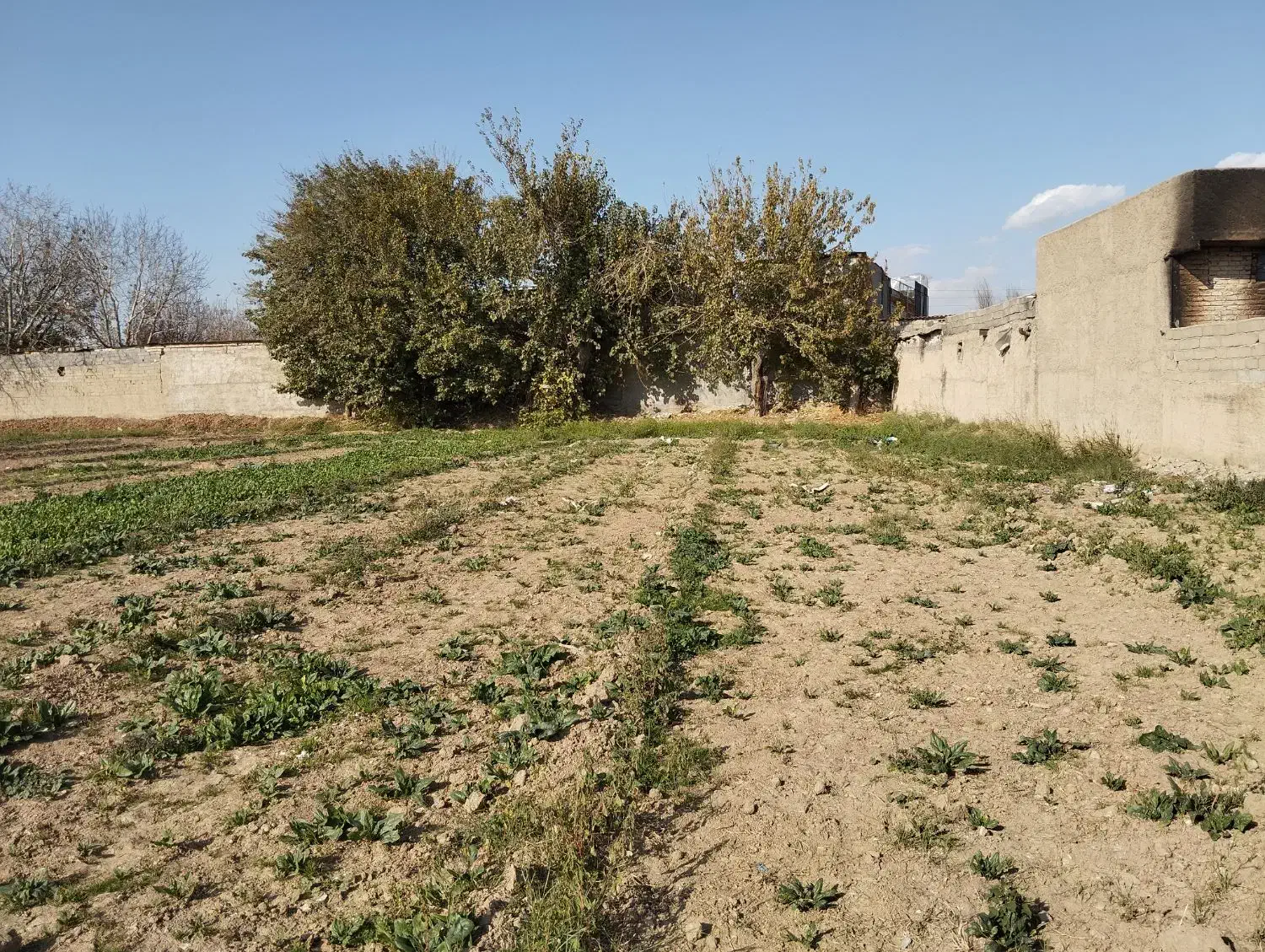 زمین کشاورزی در یافت اباد|فروش زمین و ملک کلنگی|تهران, سعیدآباد|دیوار