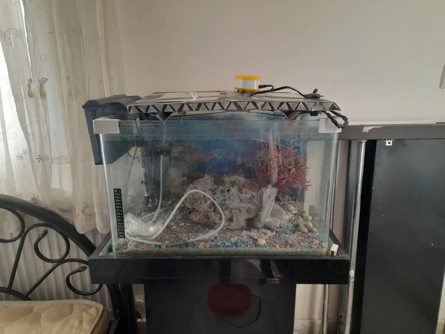 اکواریوم شیشه خم شرکتی|ماهی|پرند, فاز ۶|دیوار