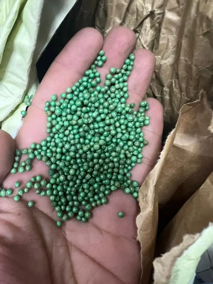 بذر شکار|عمدهفروشی|آزادشهر, |دیوار