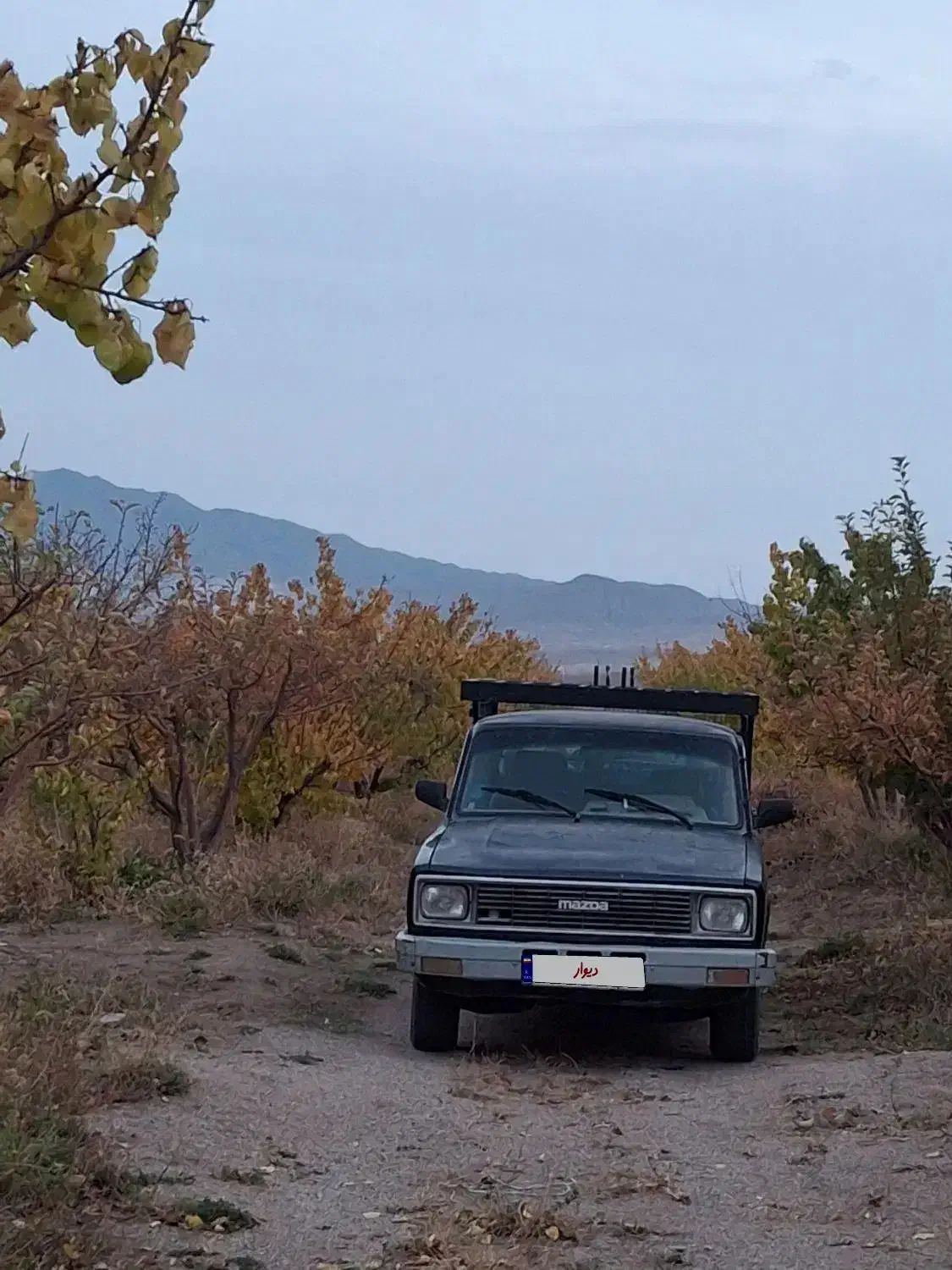 فروش ماشین|خودرو سواری و وانت|شاهرود, |دیوار