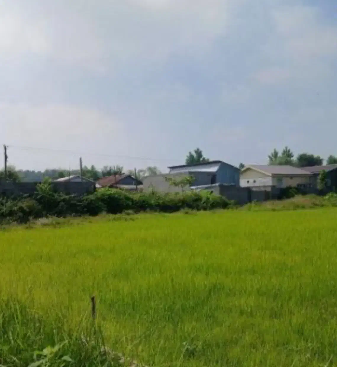 زمین فولادمحله|فروش زمین و ملک کلنگی|شهمیرزاد, |دیوار