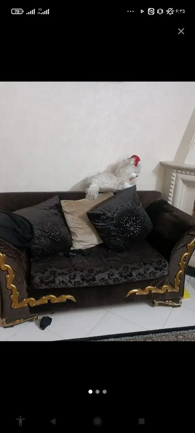 مبل بدون خرابی|مبلمان خانگی و میز عسلی|مشهد, رده|دیوار