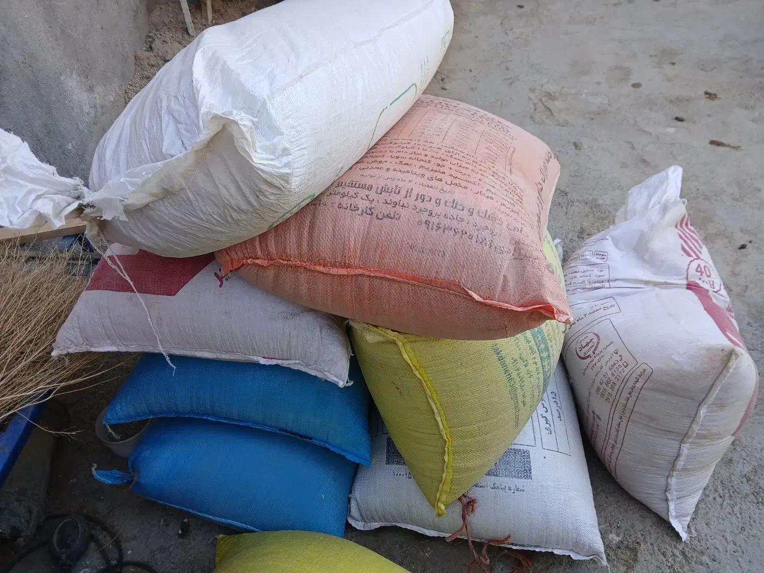 گندم بذری|خدمات باغبانی و درختکاری|بروجرد, |دیوار