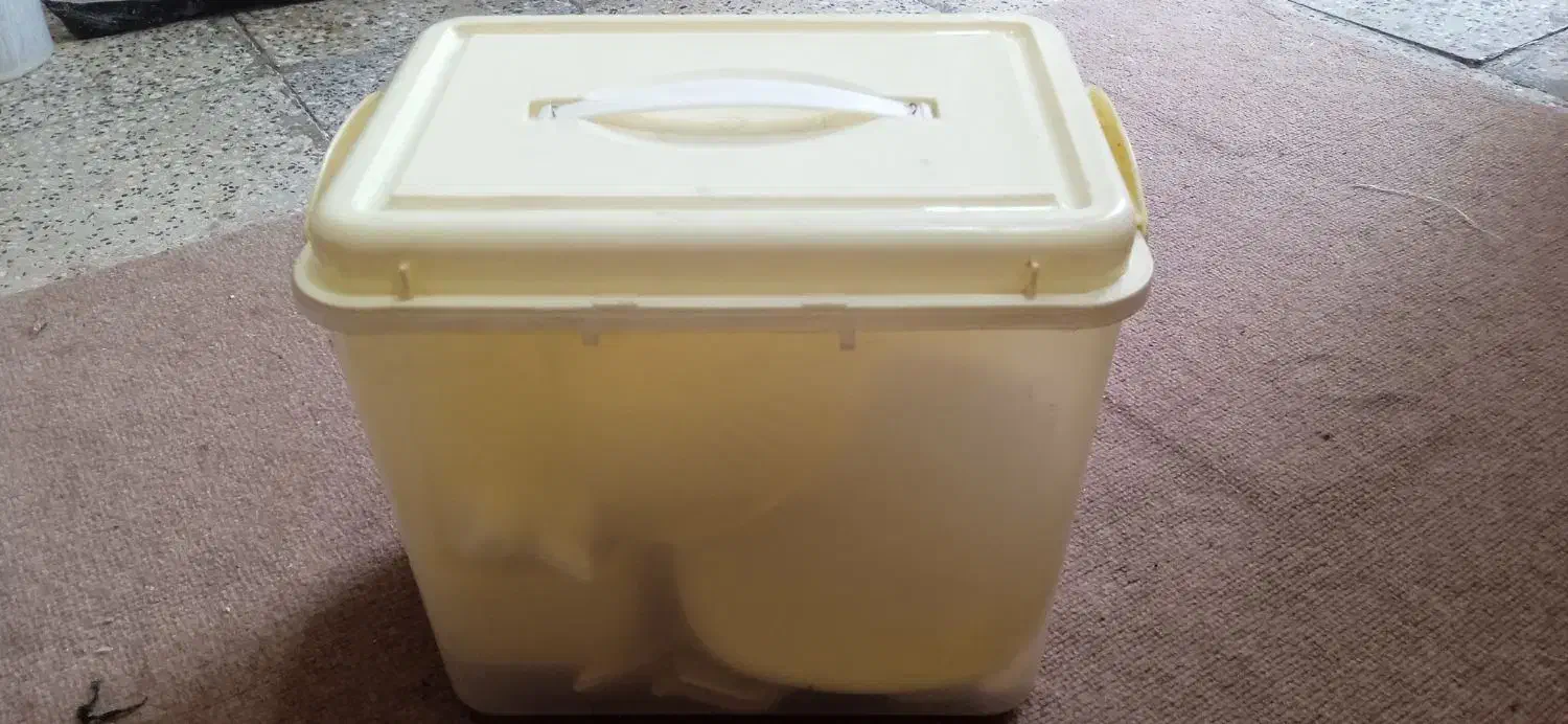 ظروف مسافرتی|ظروف نگهدارنده، پلاستیکی، یک‌بارمصرف|اهواز, کوی طلاب|دیوار