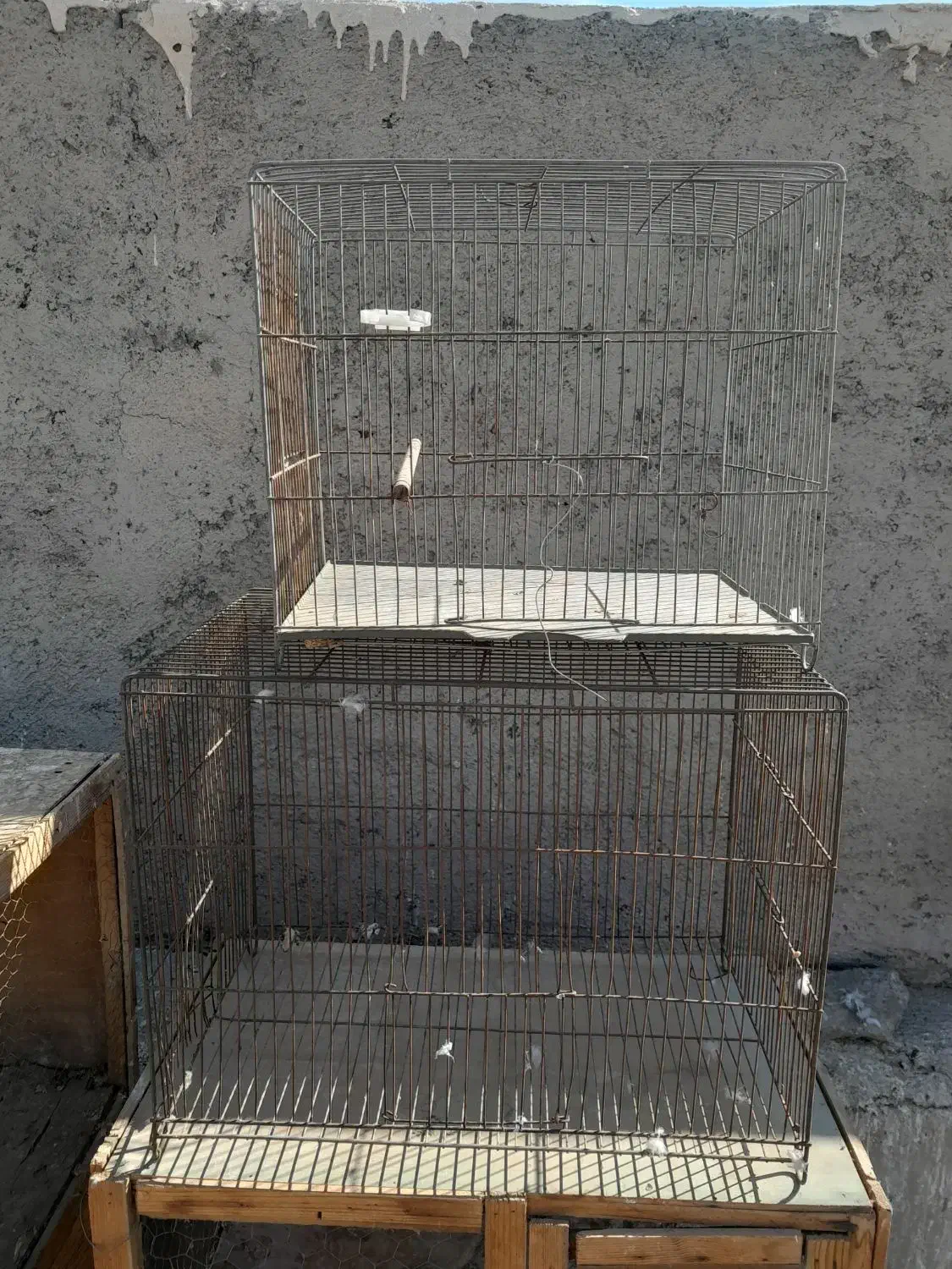 ۵ عدد جفت کنی کبوتر و ۲ عدد قفس قناری فروشی با هم|لوازم جانبی حیوانات|فردیس, سرحدی|دیوار