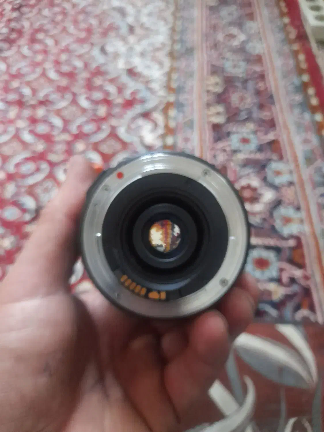 لنزدوربین عکاسی|دوربین عکاسی و فیلمبرداری|اردبیل, |دیوار