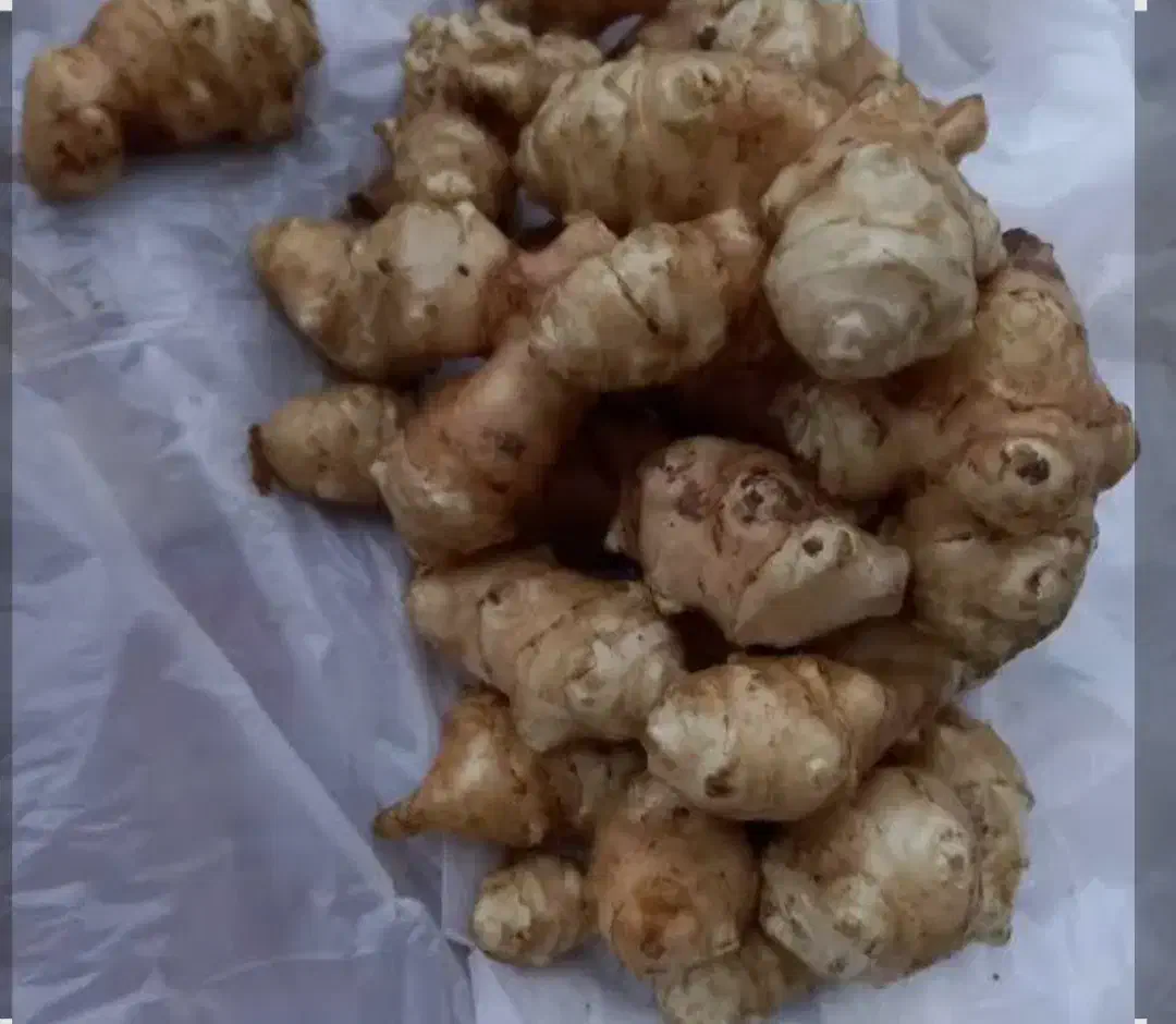 یارماسی شلغم یا سیب زمینی  برای ترشی و شور|خوردنی و آشامیدنی|رشت, پیرسرا|دیوار