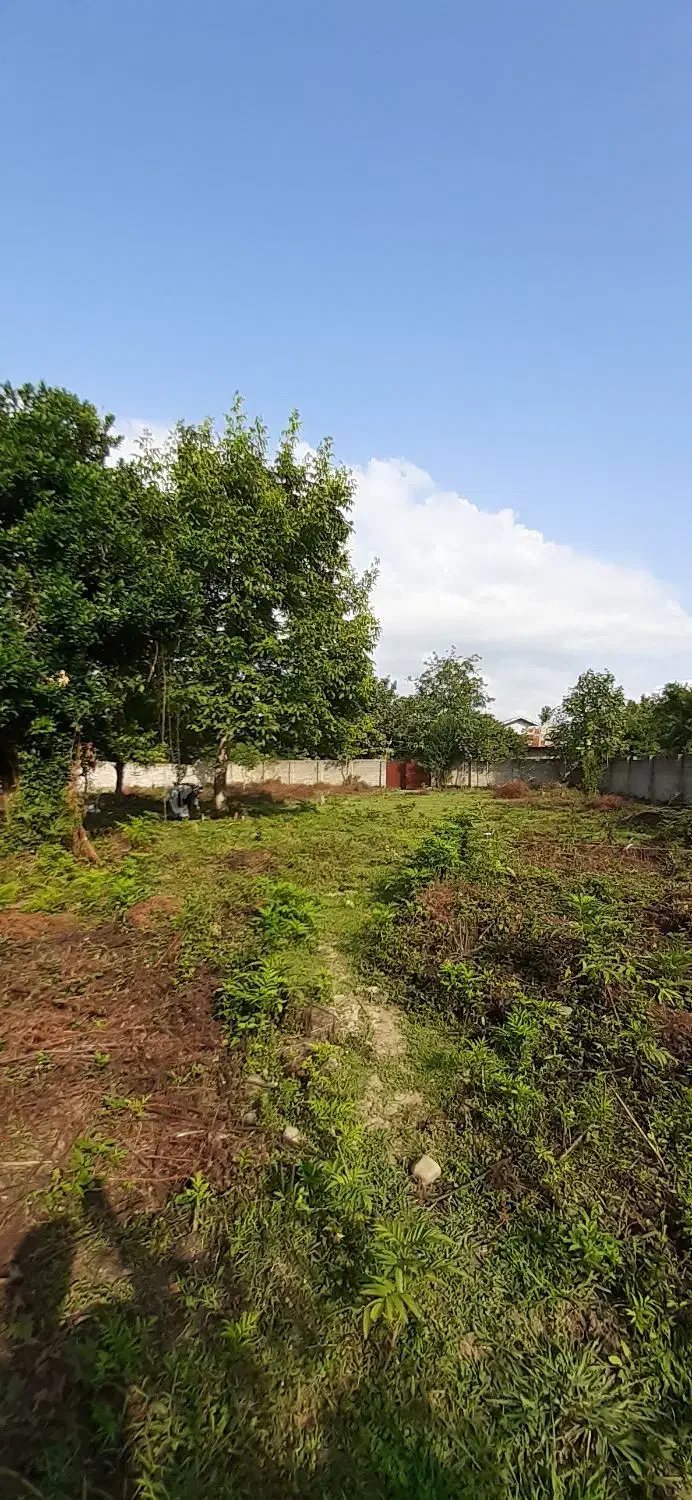 208 متر کاملا مسکونی با نامه بنیاد شفت نصیرمحله|فروش زمین و ملک کلنگی|شفت, |دیوار