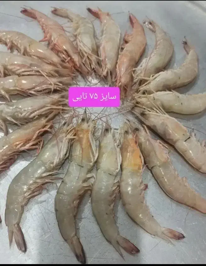 میگو درشت دریایی|خوردنی و آشامیدنی|قم, دورشهر|دیوار