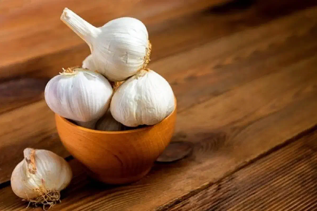 خریدار سیر ضایعات|خدمات باغبانی و درختکاری|بهار, |دیوار