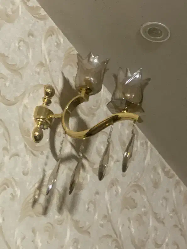 یک جفت دیوار کوب شامپاینی|لوستر و چراغ آویز|اصفهان, خواجه عمید|دیوار