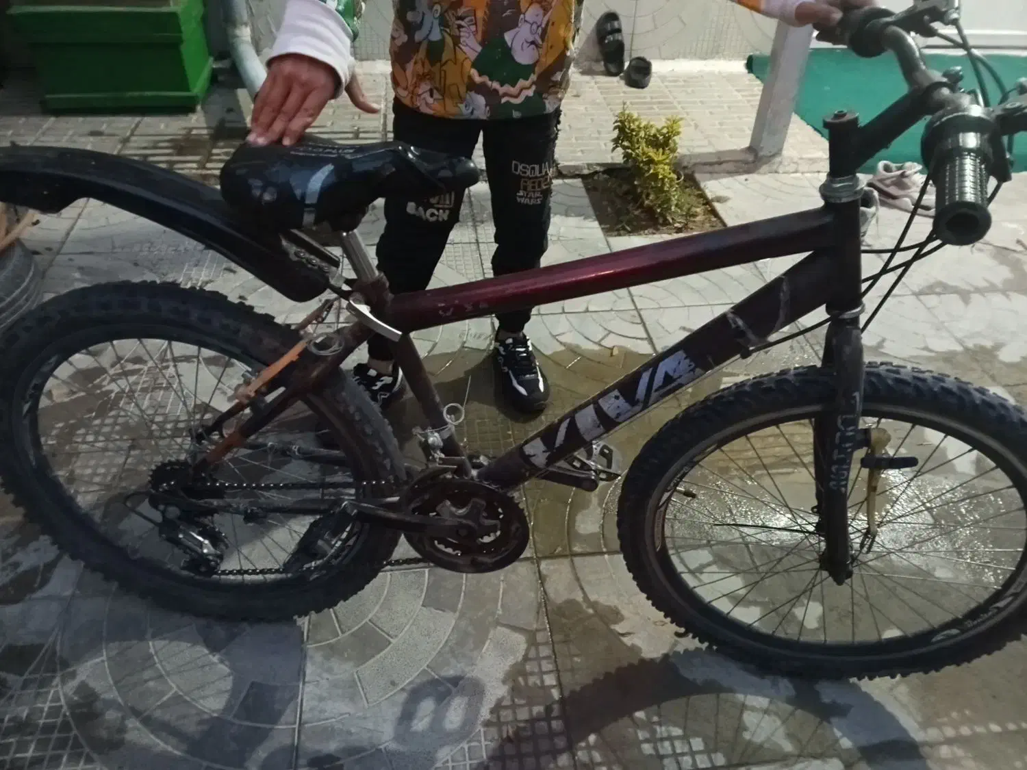 دوچرخه ویوا سایز 24|دوچرخه، اسکیت، اسکوتر|ارومیه, |دیوار