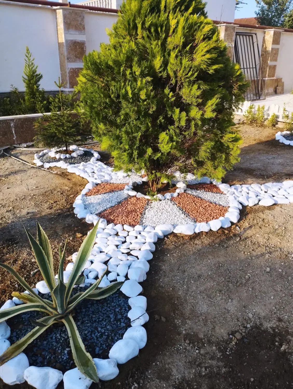 باغبانی ، درختکاری و طراحی فضای سبز|خدمات باغبانی و درختکاری|فومن, |دیوار