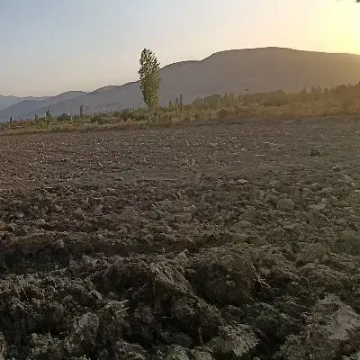 اجاره زمین کشاورزی|اجارهٔ دفتر صنعتی، کشاورزی، تجاری|قره ضیاالدین, |دیوار