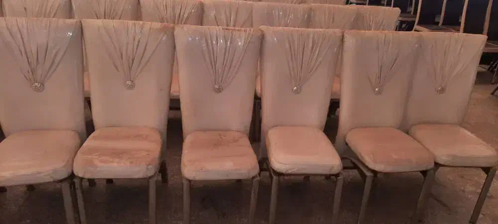 فروش صندلی مجلسی در حد نو|میز و صندلی غذاخوری|شیراز, انجیره|دیوار