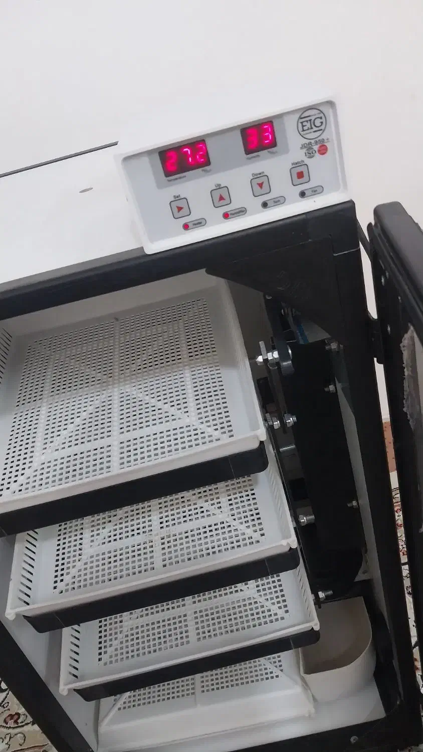 دستگاه جوجه کشی ۱۶۸تایی اسکندری|لوازم جانبی حیوانات|مشهد, امیریه|دیوار