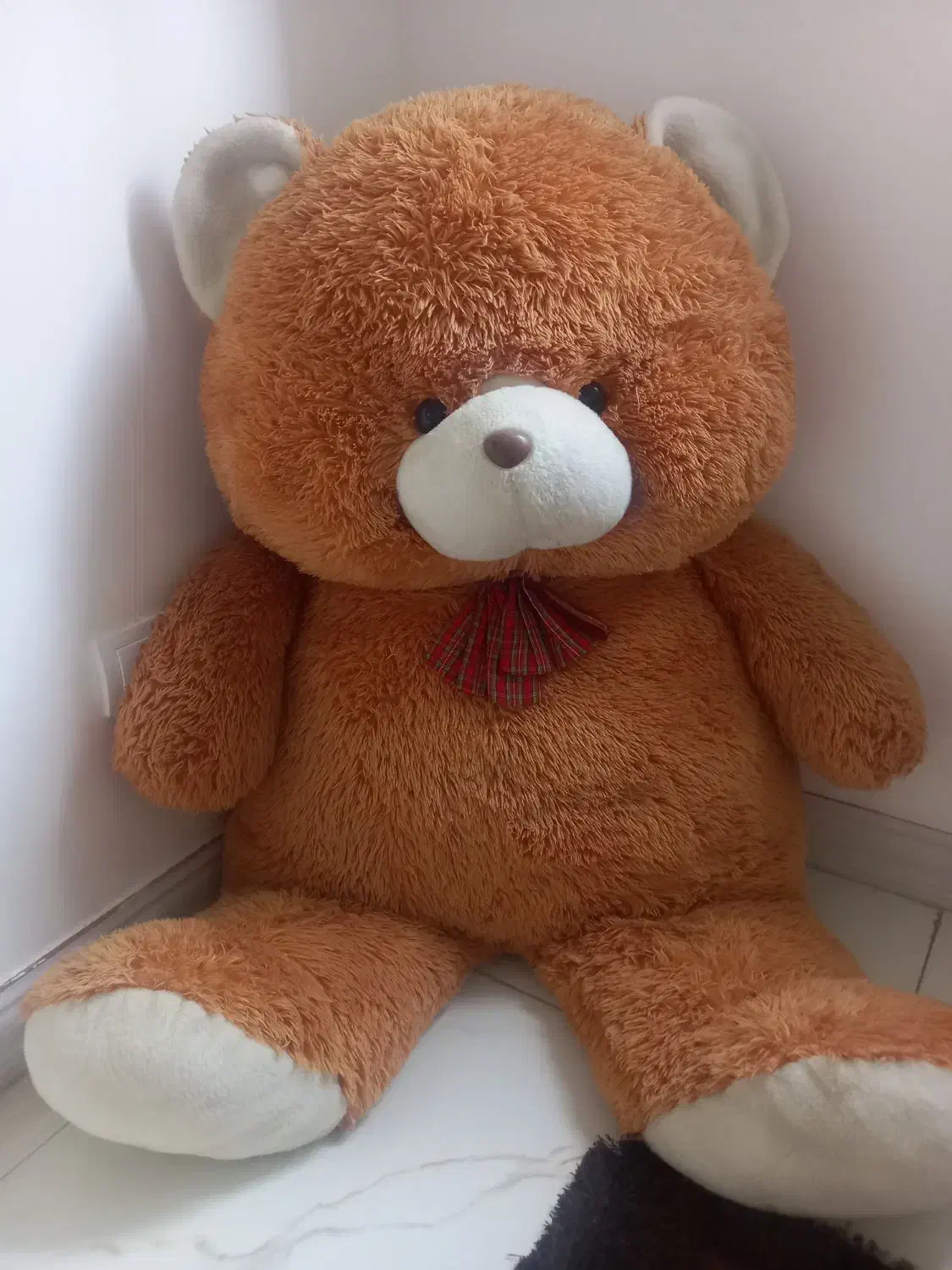 عروسک خرسی|اسباب‌‌بازی|سرعین, |دیوار