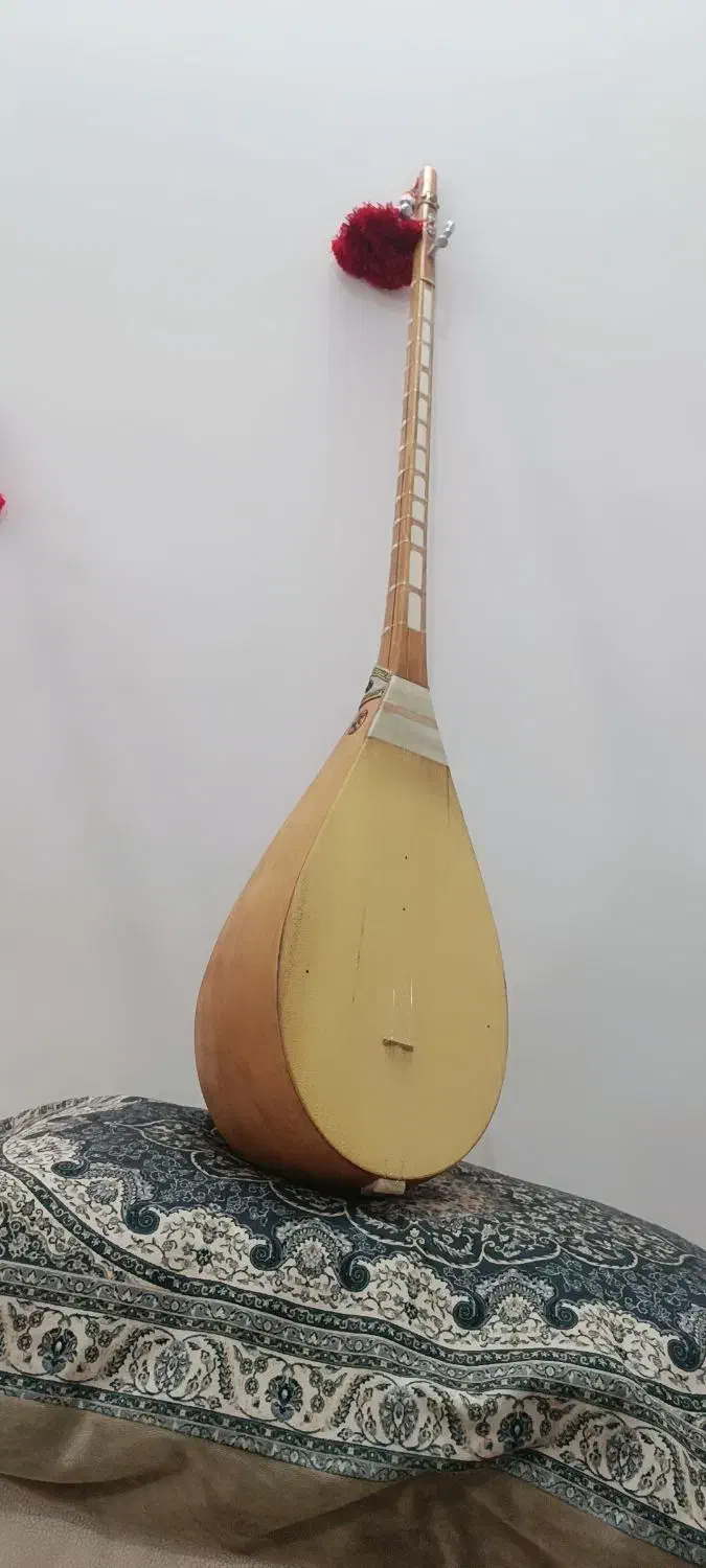 دوتار کاسه بزرگ|سازهای سنتی|بجنورد, |دیوار