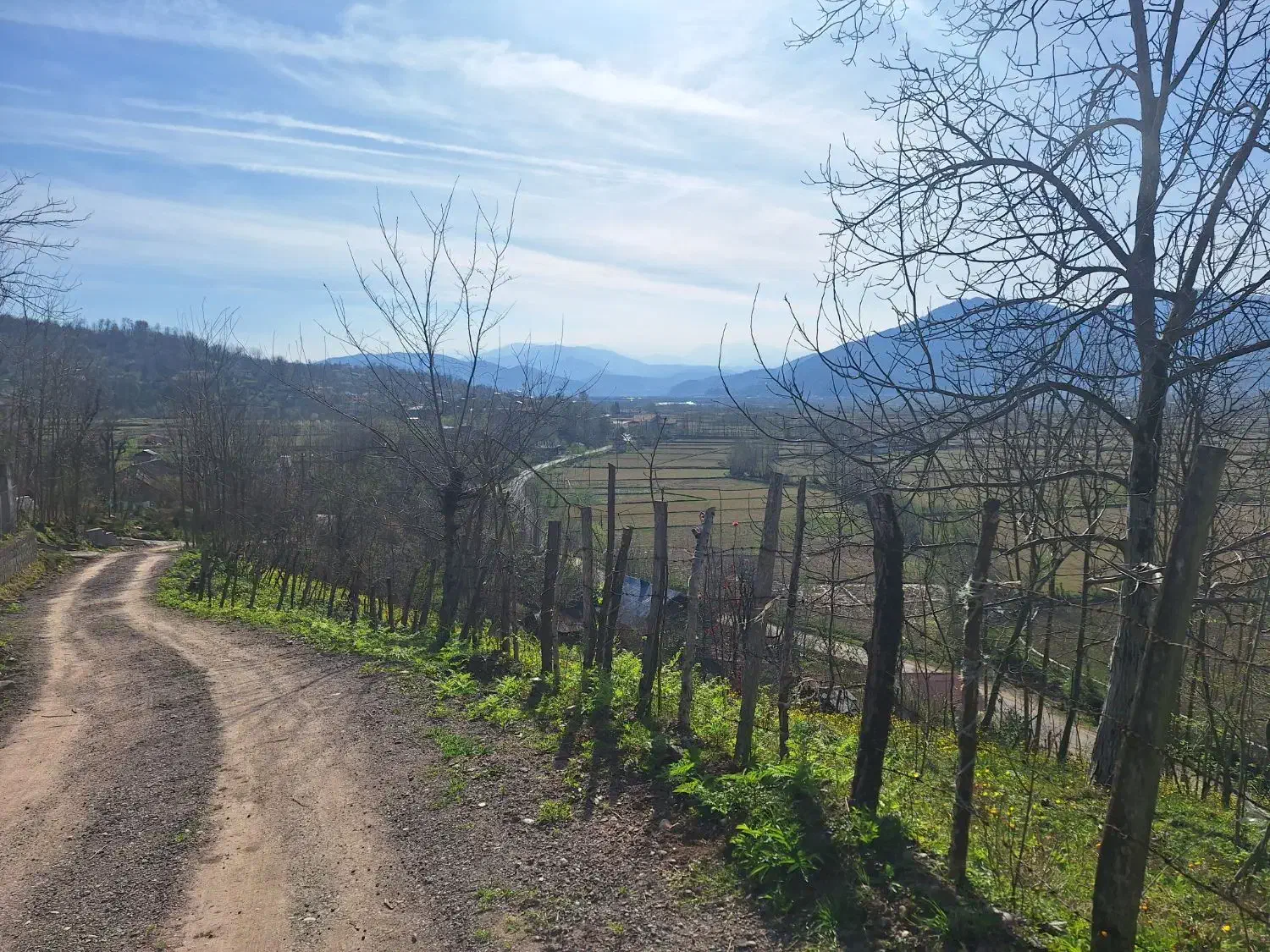 زمین روستایی به مساحت ۱۰۰۰ متر|فروش زمین و ملک کلنگی|توتکابن, |دیوار